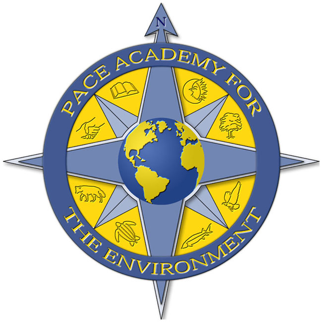 Pace Academy For The Environment